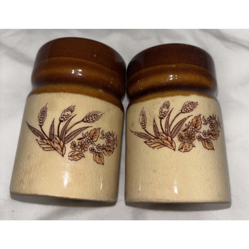 Vtg 1970s Royal Worcester Pepper Pot Evesham Pattern Salt & Pepper Shakers